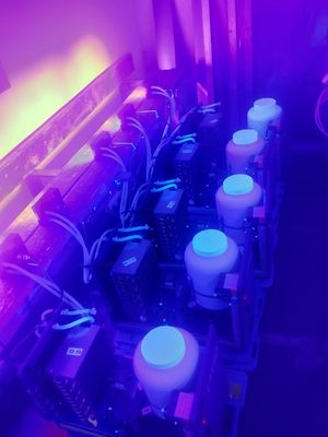 UV LED purple light blue compressor cooling 365nm 385nm 395nm 405nm 1300W uv led module